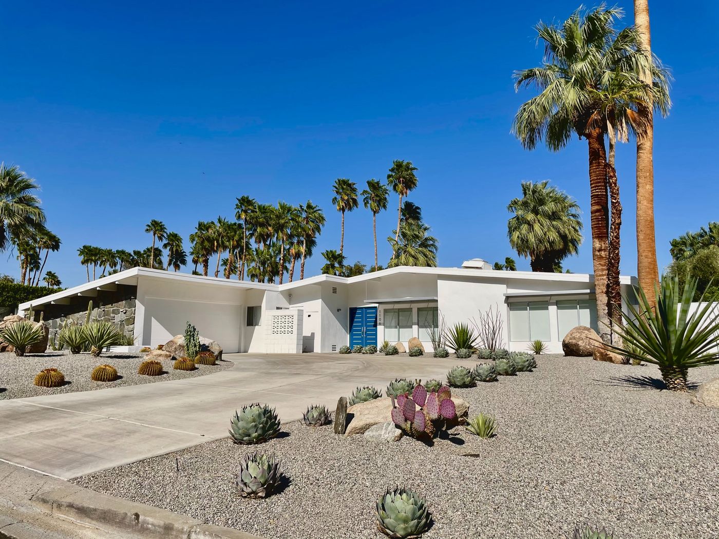 Mid-century modern home with palm trees in Palm Springs